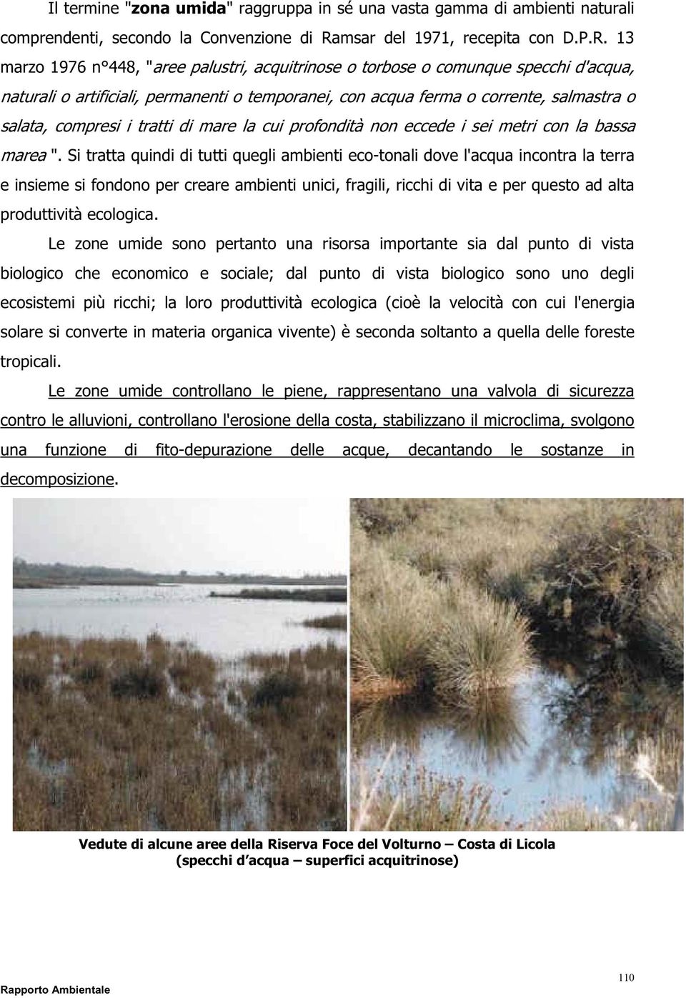 13 marzo 1976 n 448, "aree palustri, acquitrinose o torbose o comunque specchi d'acqua, naturali o artificiali, permanenti o temporanei, con acqua ferma o corrente, salmastra o salata, compresi i