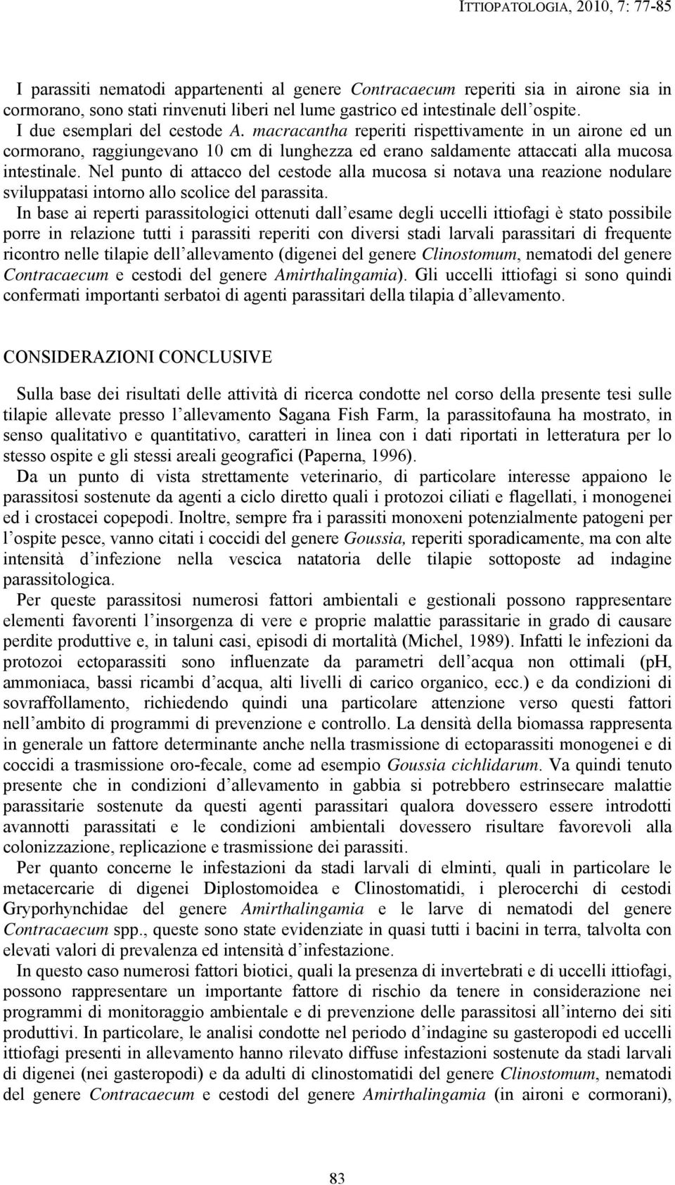 Nel punto di attacco del cestode alla mucosa si notava una reazione nodulare sviluppatasi intorno allo scolice del parassita.