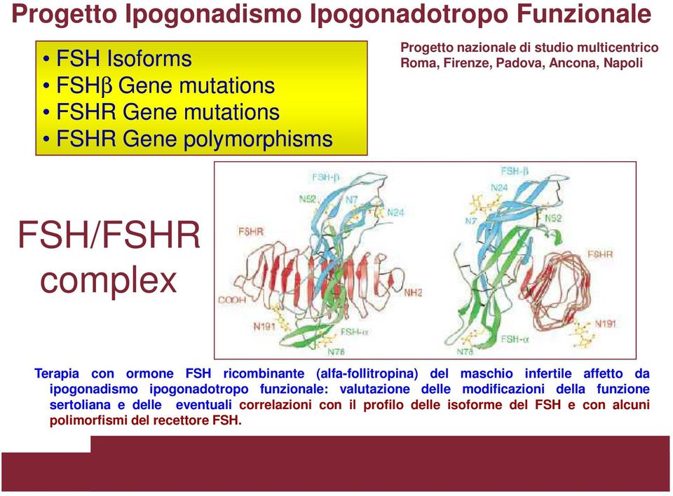 ricombinante (alfa-follitropina) del maschio infertile affetto da ipogonadismo ipogonadotropo funzionale: valutazione delle