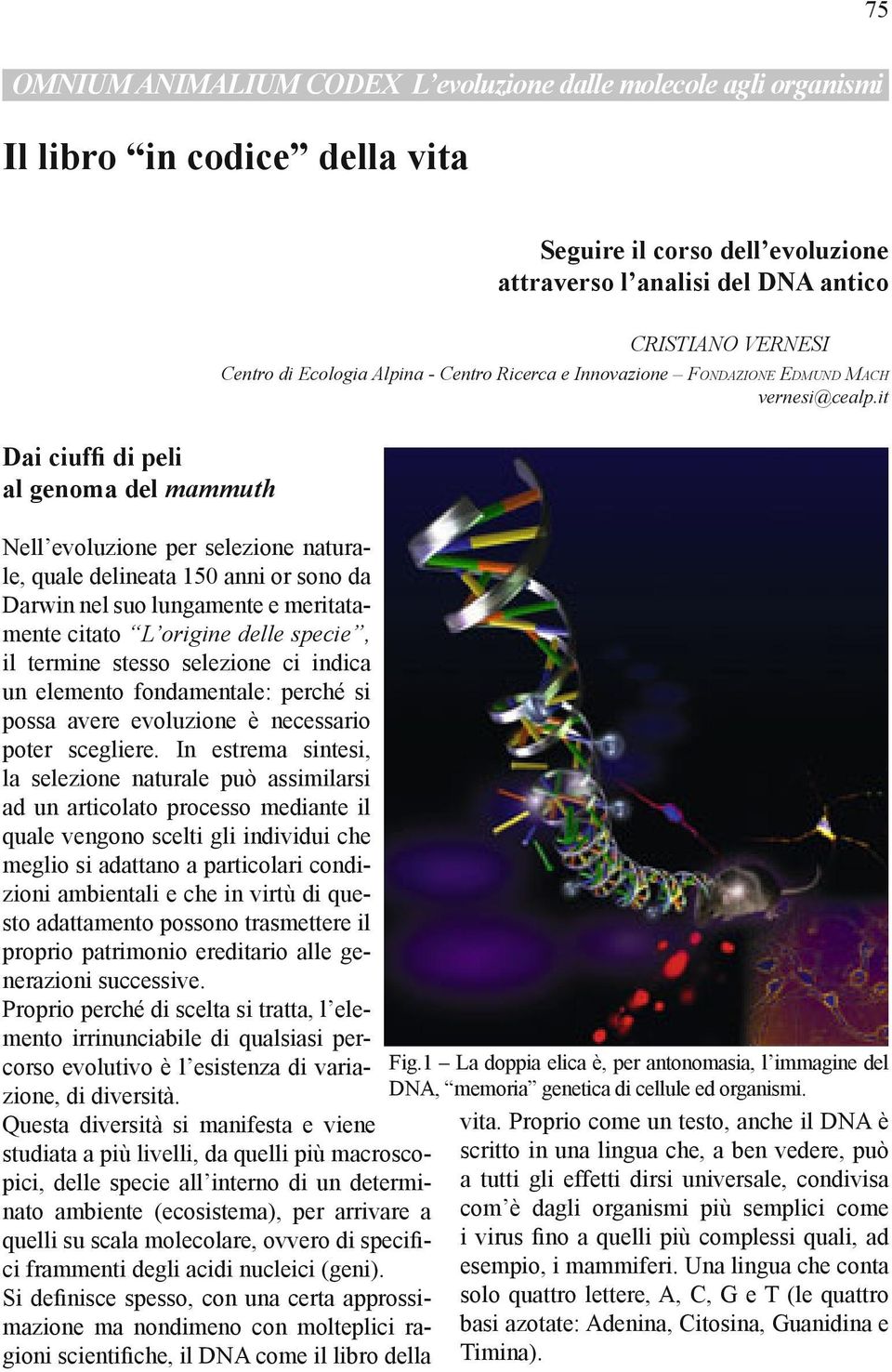 it Dai ciuffi di peli al genoma del mammuth Nell evoluzione per selezione naturale, quale delineata 150 anni or sono da Darwin nel suo lungamente e meritatamente citato L origine delle specie, il