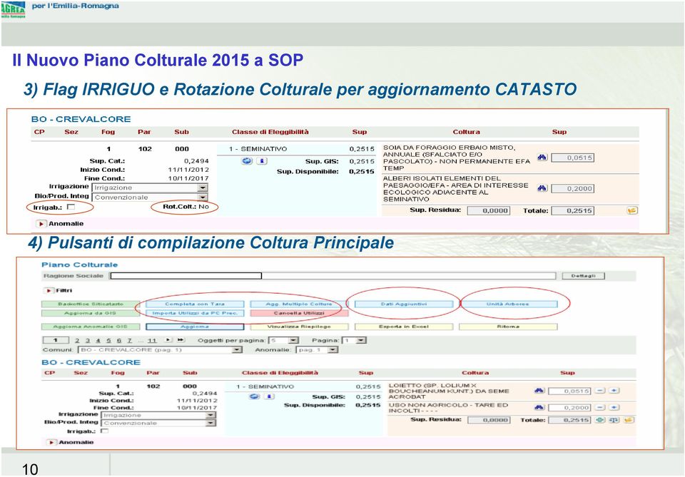 per aggiornamento CATASTO 4) Pulsanti