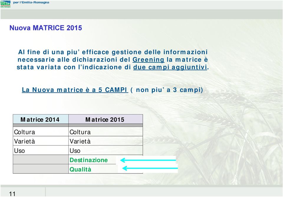 indicazione di due campi aggiuntivi.