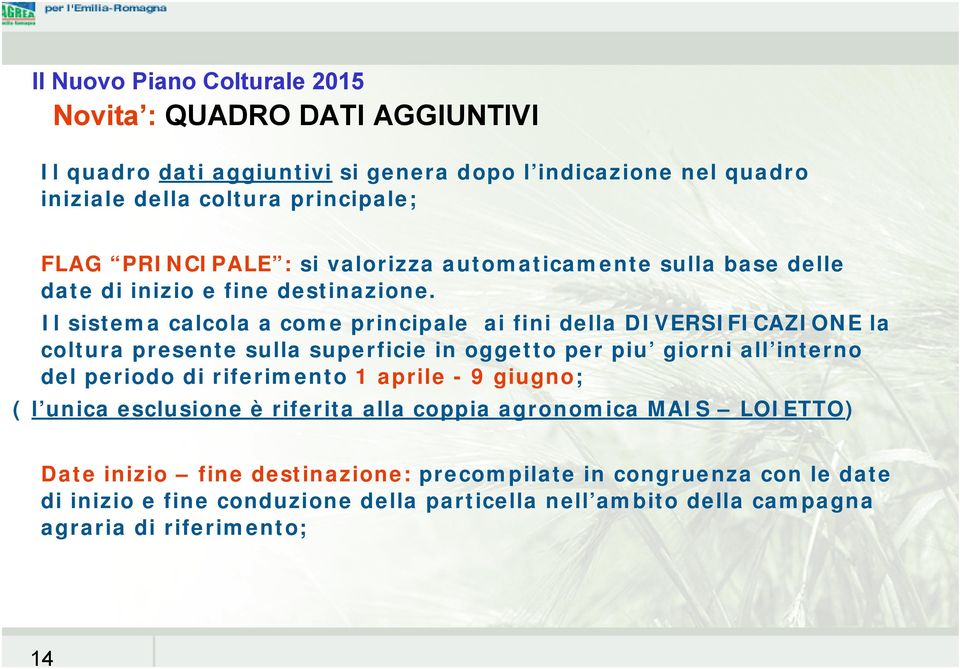 Il sistema calcola a come principale ai fini della DIVERSIFICAZIONE la coltura presente sulla superficie in oggetto per piu giorni all interno del periodo di riferimento 1