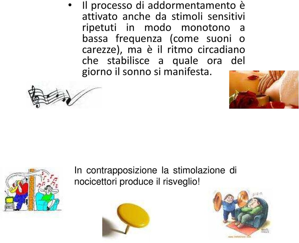 il ritmo circadiano che stabilisce a quale ora del giorno il sonno si