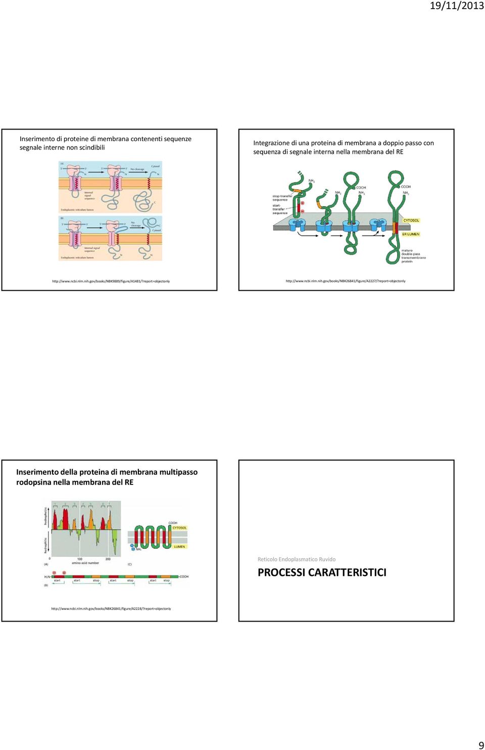 report=objectonly http://www.ncbi.nlm.nih.gov/books/nbk26841/figure/a2227/?