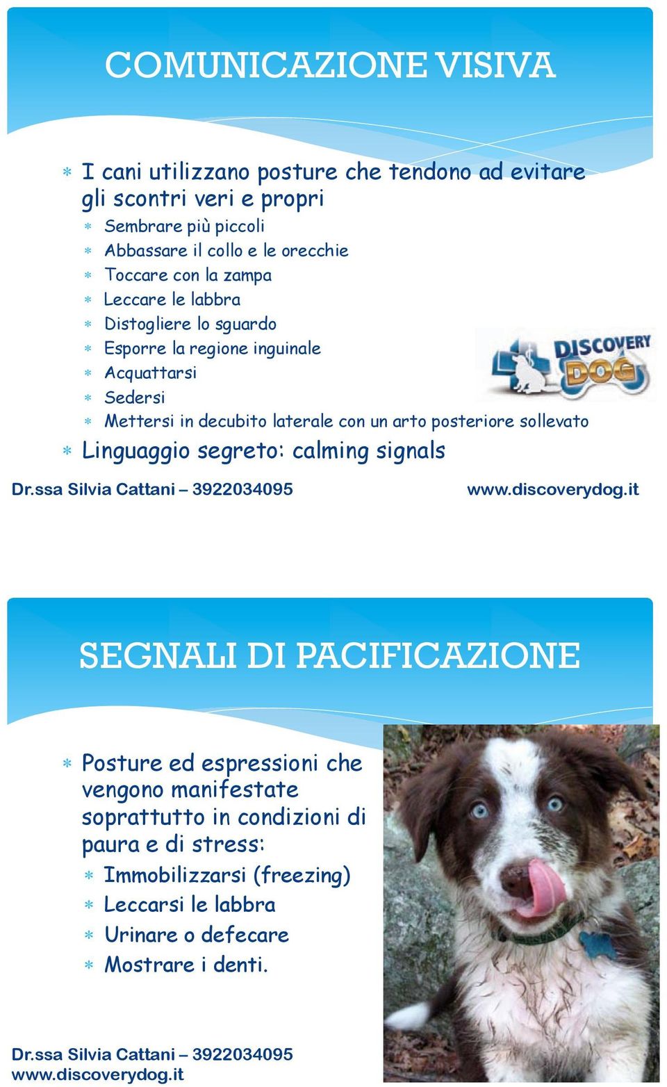 laterale con un arto posteriore sollevato Linguaggio segreto: calming signals SEGNALI DI PACIFICAZIONE Posture ed espressioni che vengono