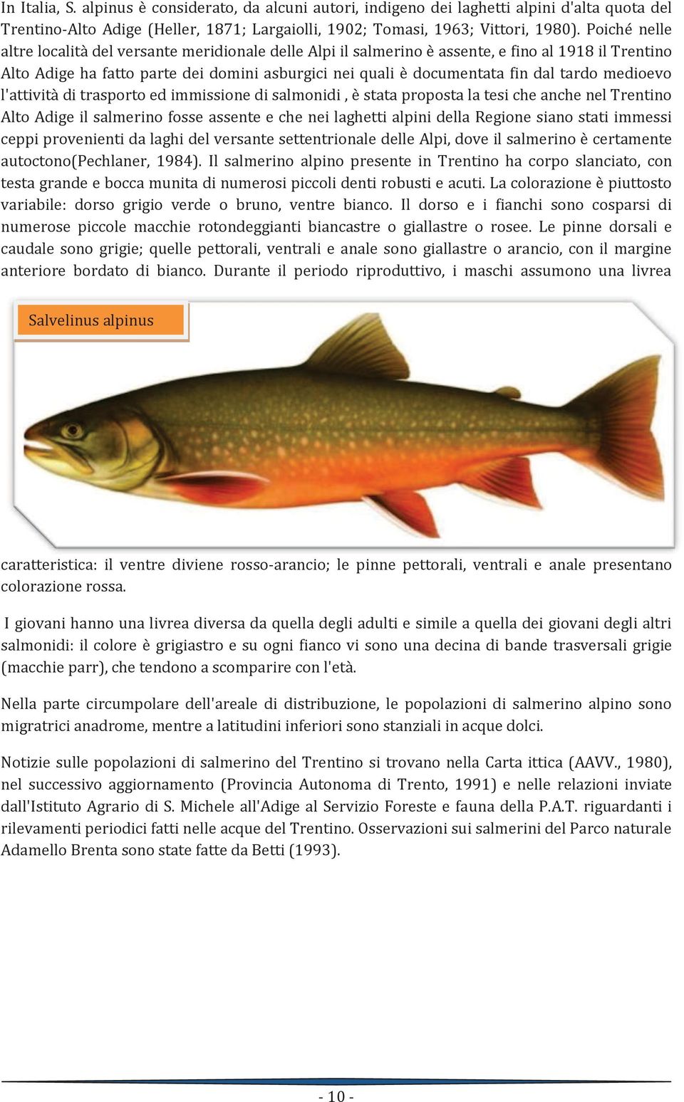 medioevo l'attività di trasporto ed immissione di salmonidi, è stata proposta la tesi che anche nel Trentino Alto Adige il salmerino fosse assente e che nei laghetti alpini della Regione siano stati