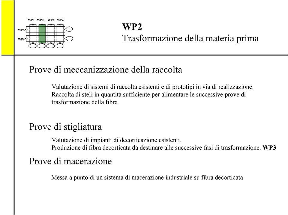 Raccolta di steli in quantità sufficiente per alimentare le successive prove di trasformazione della fibra.