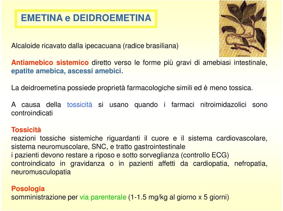 A causa della tossicità si usano quando i farmaci nitroimidazolici sono controindicati Tossicità reazioni tossiche sistemiche riguardanti il cuore e il sistema cardiovascolare, sistema