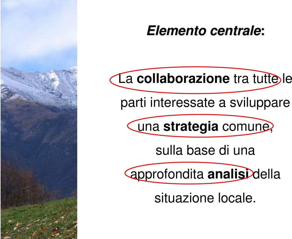 una strategia comune, sulla base di una