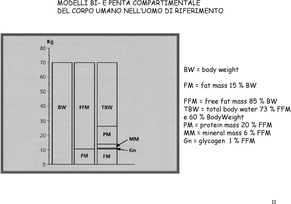 mass 85 % BW TBW = total body water 73 % FFM e 60 % BodyWeight PM =