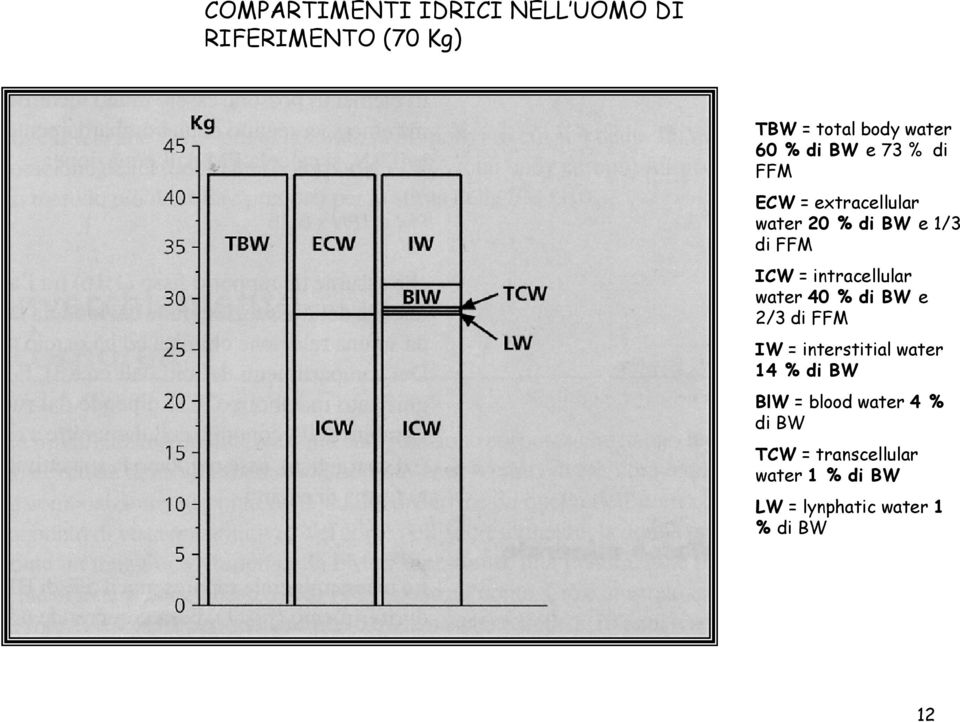 intracellular water 40 % di BW e 2/3 di FFM IW = interstitial water 14 % di BW BlW