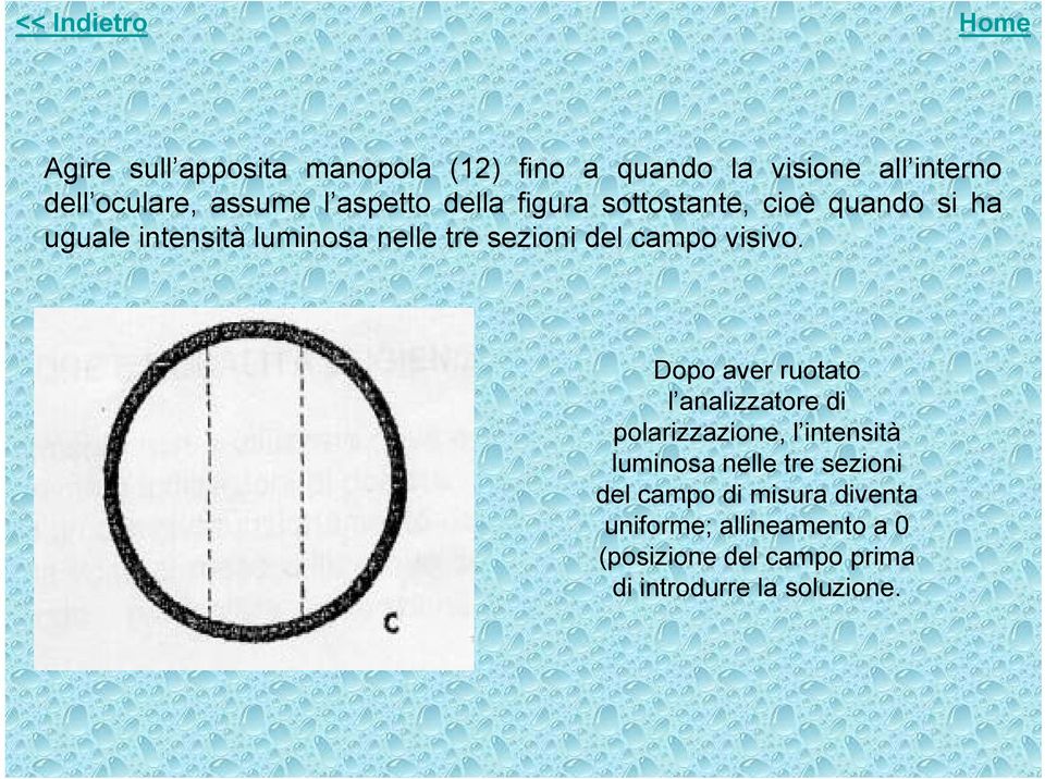 sezioni del campo visivo.