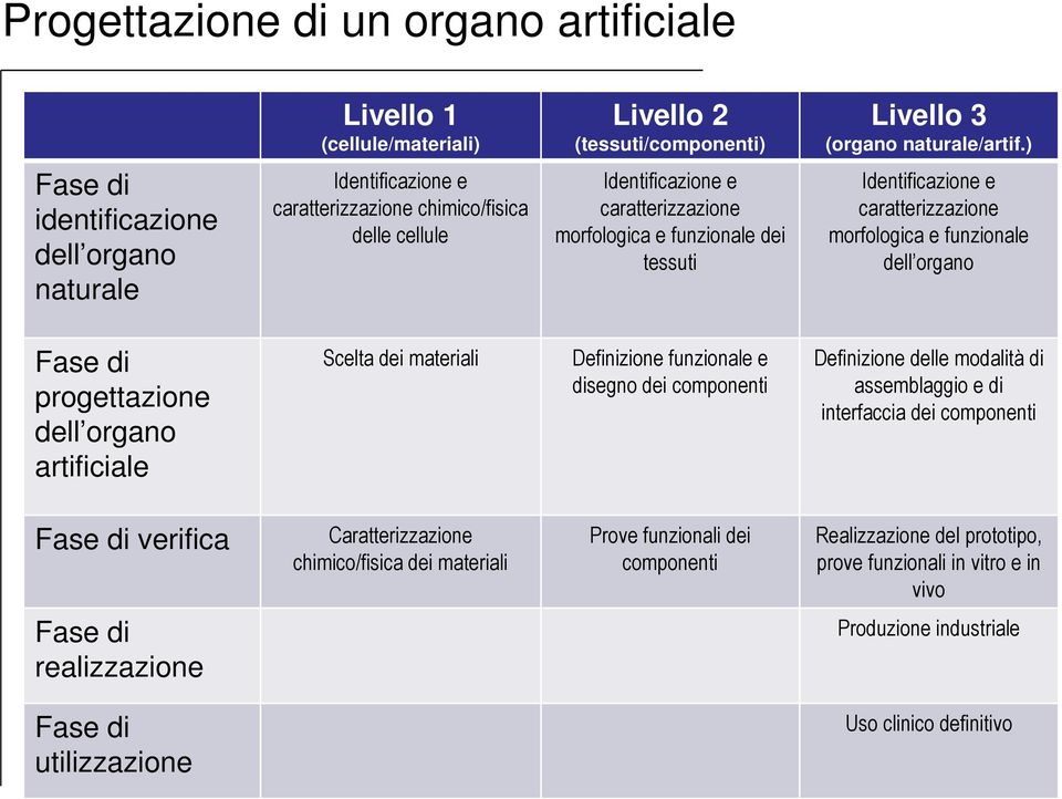 Identificazione e caratterizzazione morfologica e funzionale dell organo Fase di progettazione dell organo artificiale Scelta dei materiali Definizione funzionale e disegno dei componenti Definizione