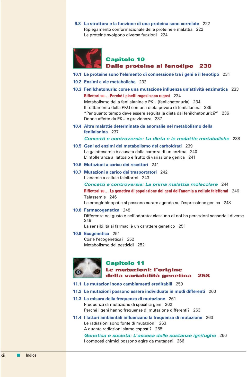 3 Fenilchetonuria: come una mutazione influenza un attività enzimatica 233 Riflettori su Perché i piselli rugosi sono rugosi 234 Metabolismo della fenilalanina e PKU (fenilchetonuria) 234 Il