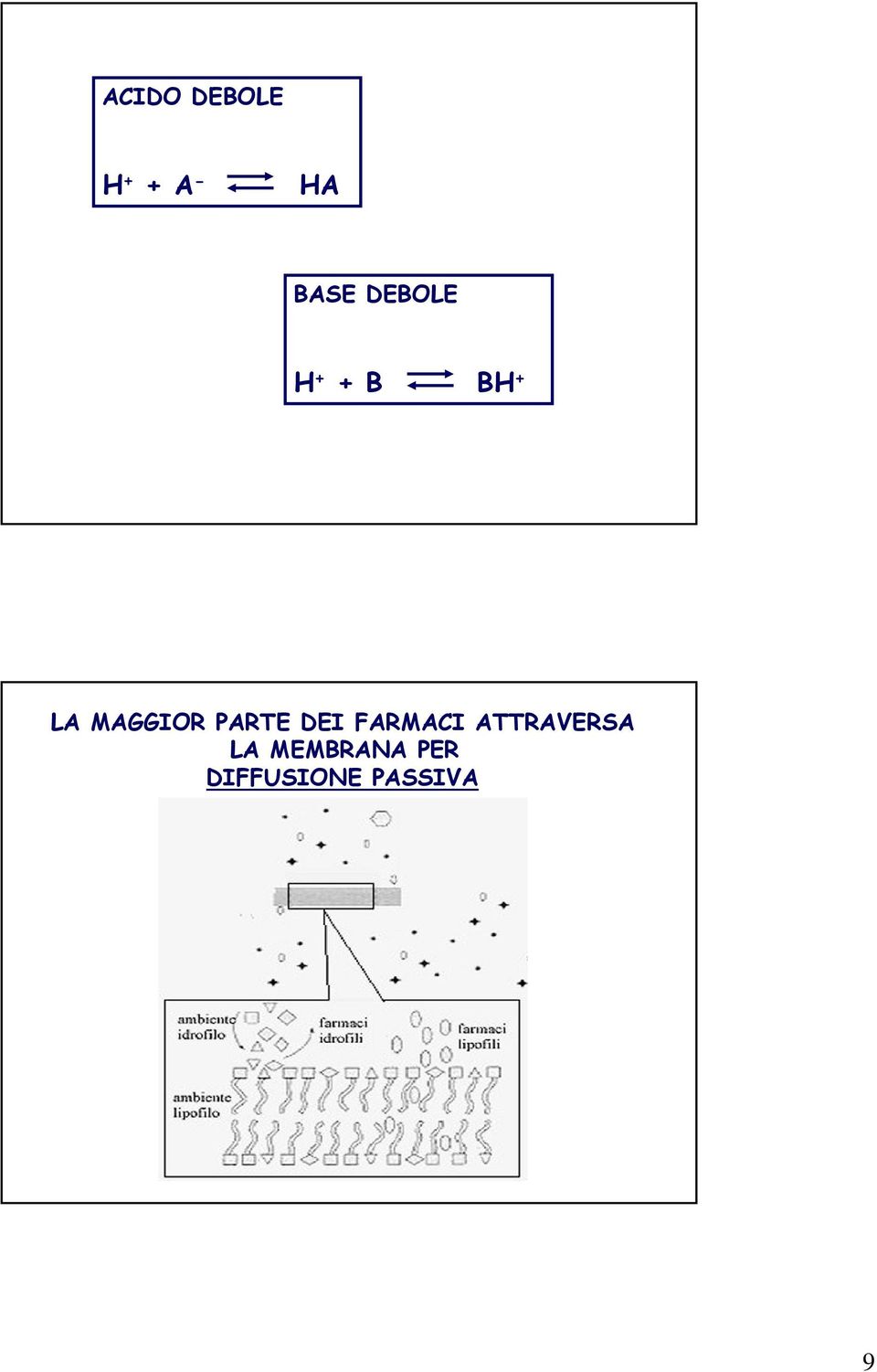 PARTE DEI FARMACI ATTRAVERSA LA