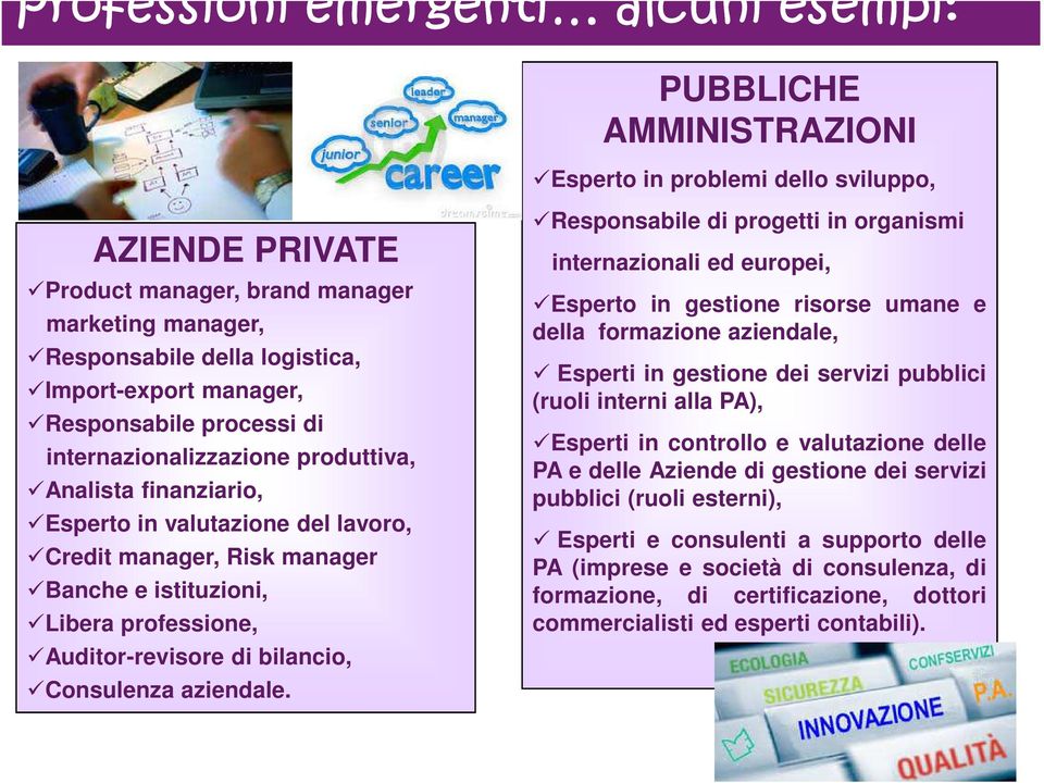 professione, Auditor-revisore di bilancio, Consulenza aziendale.