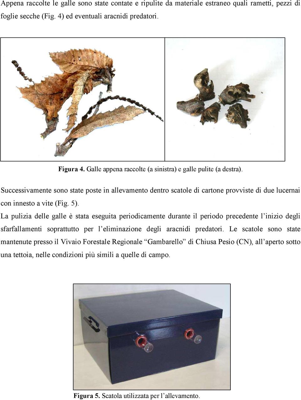 5). La pulizia delle galle è stata eseguita periodicamente durante il periodo precedente l inizio degli sfarfallamenti soprattutto per l eliminazione degli aracnidi predatori.