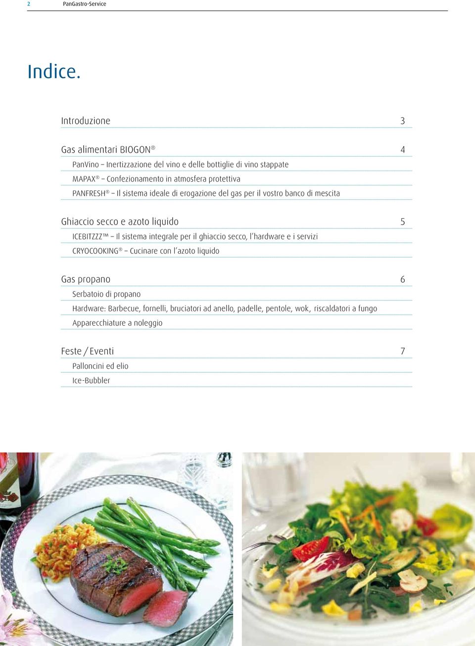 PANFRESH Il sistema ideale di erogazione del gas per il vostro banco di mescita Ghiaccio secco e azoto liquido 5 ICEBITZZZ Il sistema integrale per il