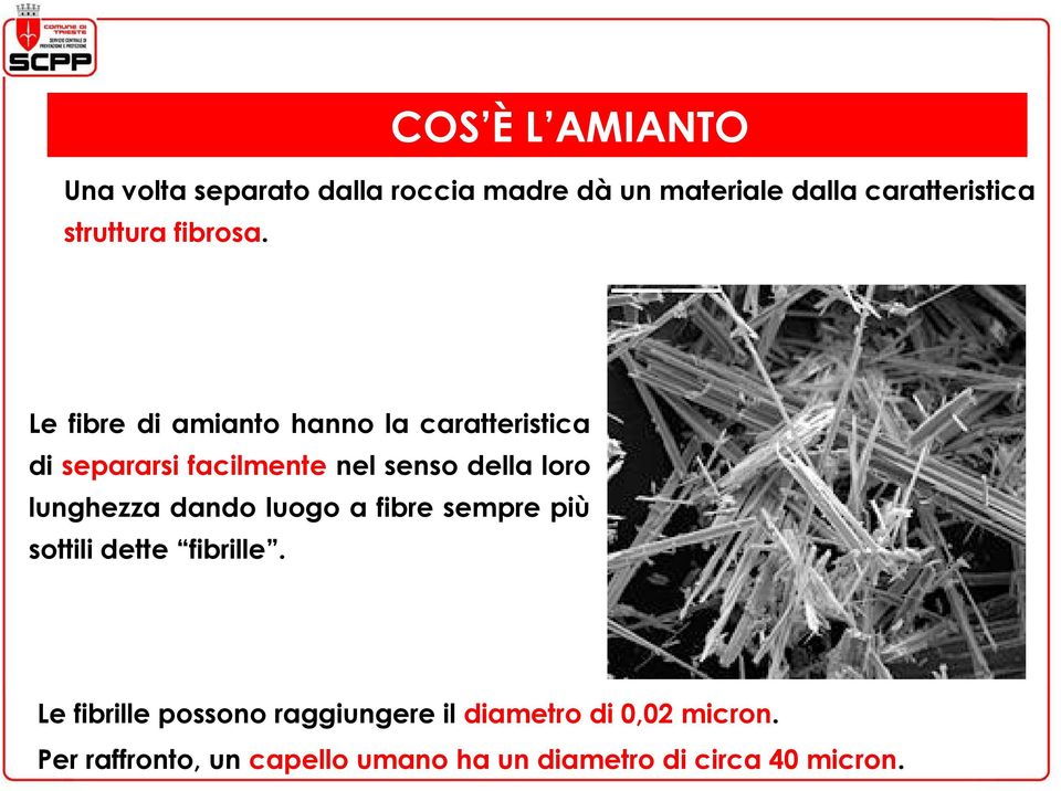 Le fibre di amianto hanno la caratteristica di separarsi facilmente nel senso della loro