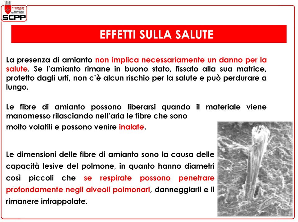 Le fibre di amianto possono liberarsi quando il materiale viene manomesso rilasciando nell aria le fibre che sono molto volatili e possono venire inalate.