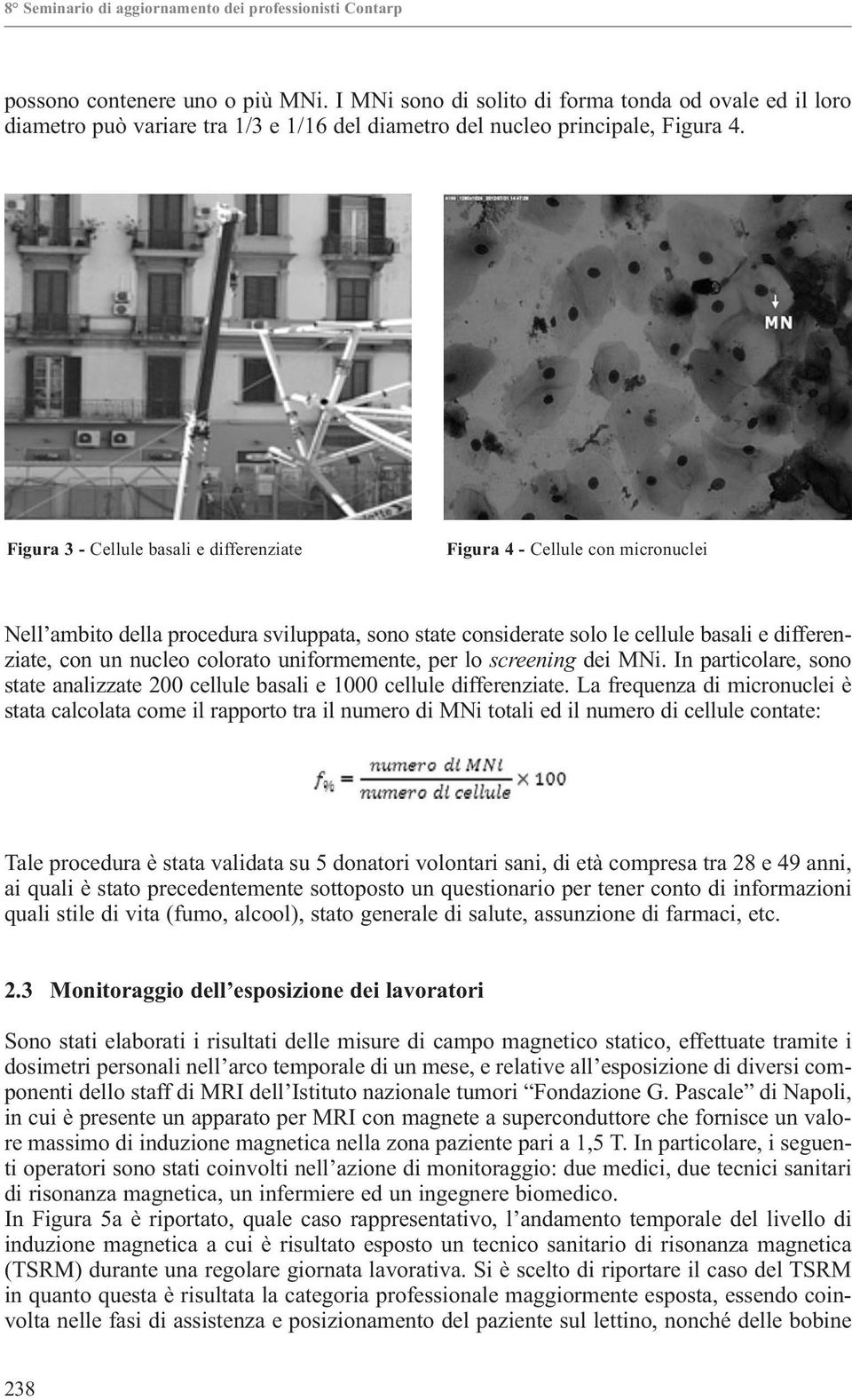 colorato uniformemente, per lo screening dei MNi. In particolare, sono state analizzate 200 cellule basali e 1000 cellule differenziate.