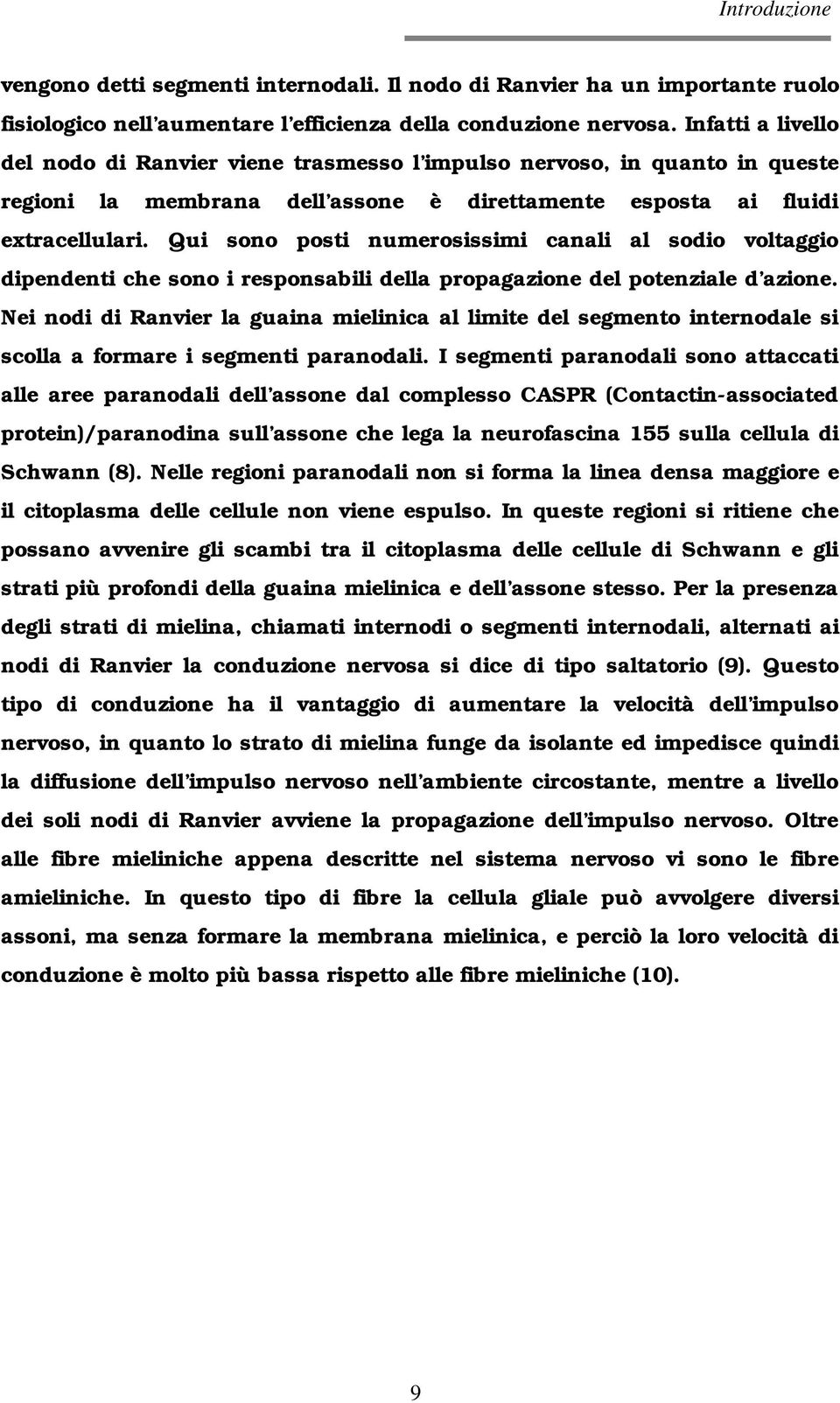 Qui sono posti numerosissimi canali al sodio voltaggio dipendenti che sono i responsabili della propagazione del potenziale d azione.