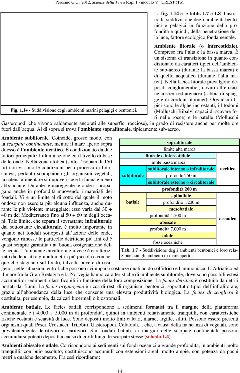 È un sistema di transizione in quanto condizionato da caratteri tipici dell ambiente sub-aereo (durante la bassa marea) e di quello acquatico (durante l alta marea).