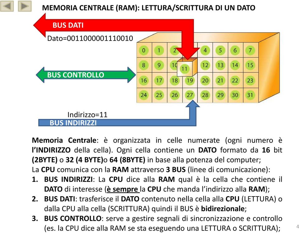 Ogni cella contiene un DATO formato da 16 bit (2BYTE) o 32 (4 BYTE)o 64 (8BYTE) in base alla potenza del computer; La CPU comunica con la RAM attraverso 3BUS(linee di comunicazione): 1.