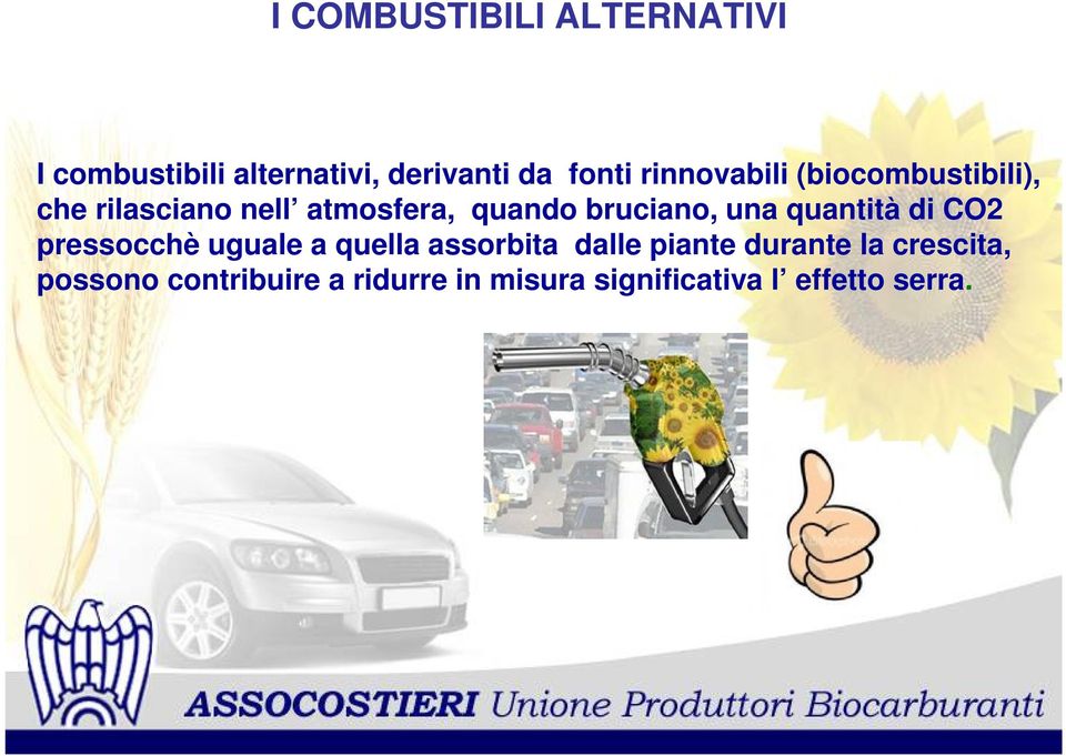 una quantità di CO2 pressocchè uguale a quella assorbita dalle piante durante