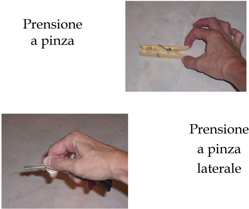 pinza