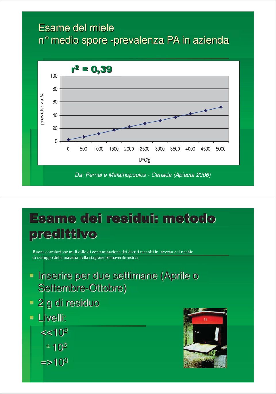 correlazione tra livello di contaminazione dei detriti raccolti in inverno e il rischio di sviluppo della malattia nella