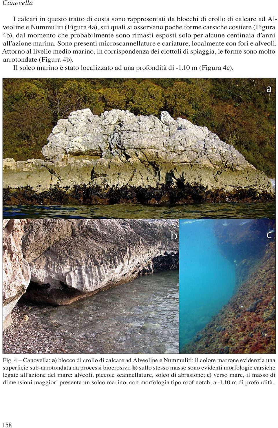 Attorno al livello medio marino, in corrispondenza dei ciottoli di spiaggia, le forme sono molto arrotondate (Figura 4b). Il solco marino è stato localizzato ad una profondità di -1.10 m (Figura 4c).