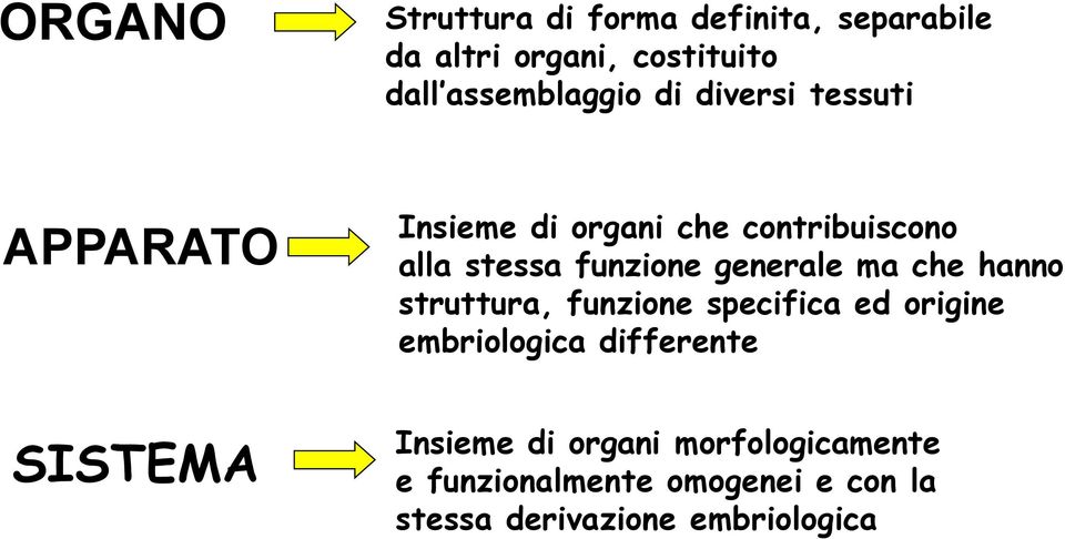 generale ma che hanno struttura, funzione specifica ed origine embriologica differente