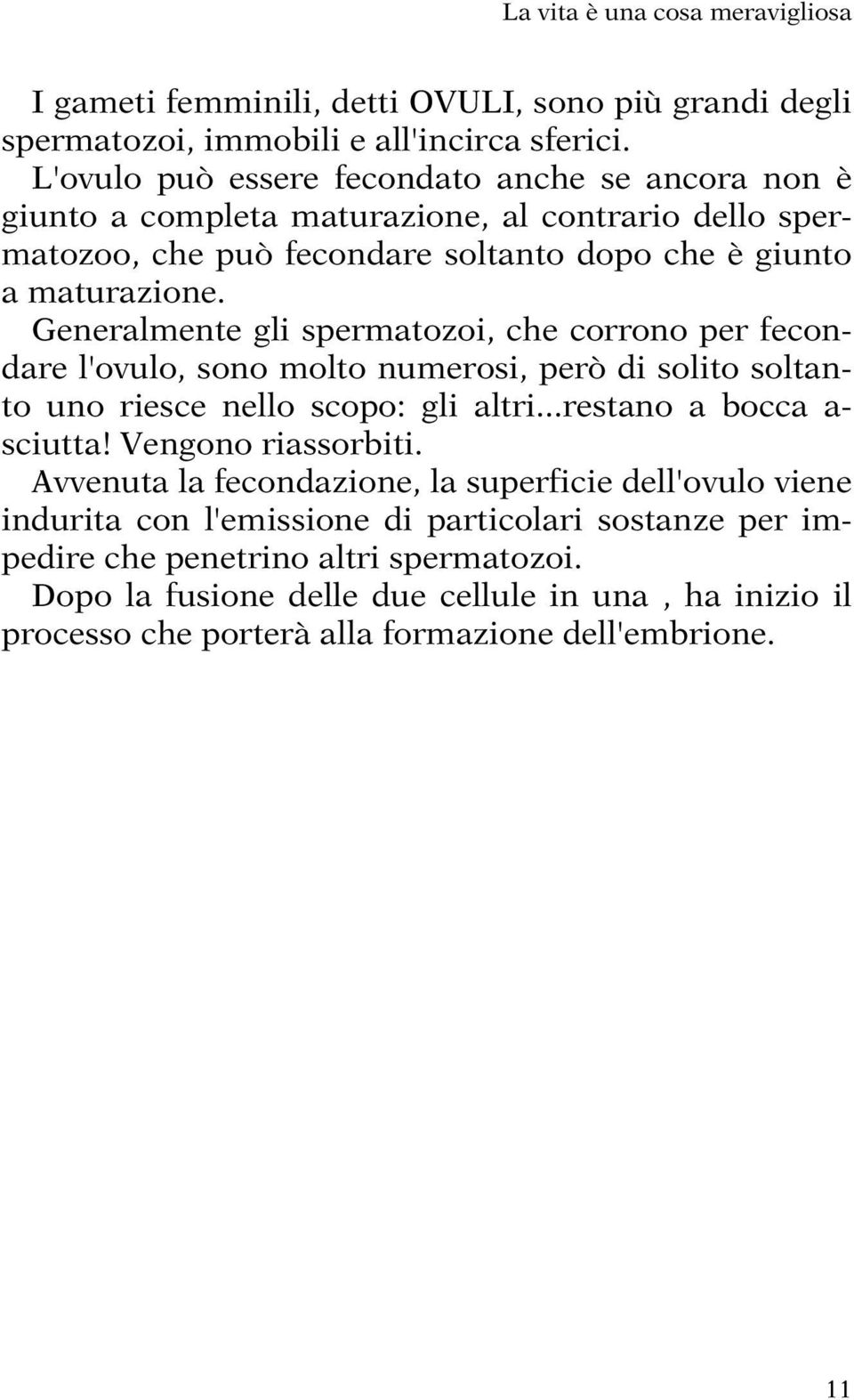 Generalmente gli spermatozoi, che corrono per fecondare l'ovulo, sono molto numerosi, però di solito soltanto uno riesce nello scopo: gli altri...restano a bocca a- sciutta!