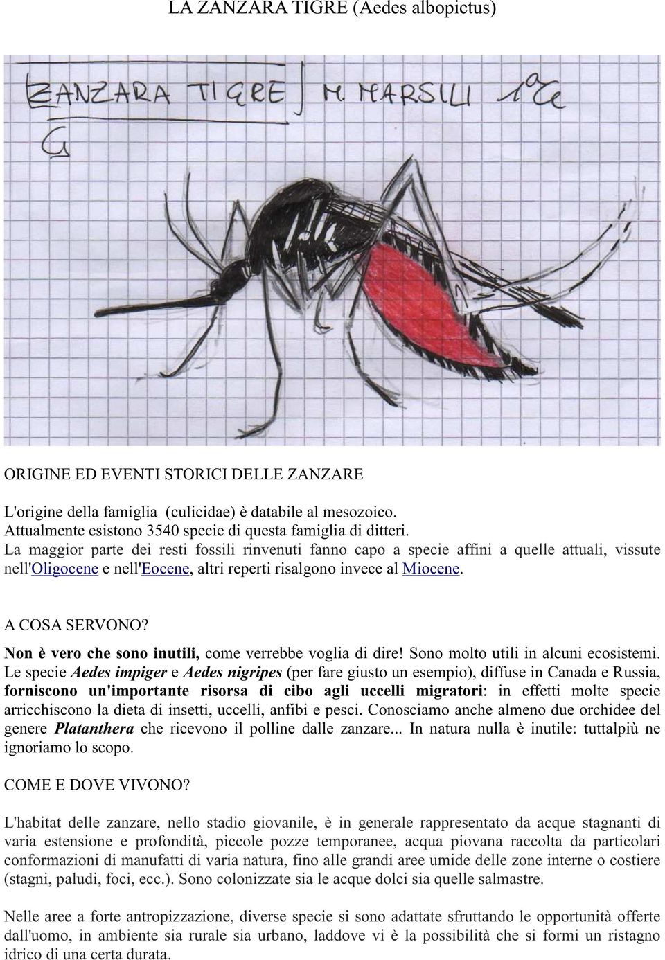 La maggior parte dei resti fossili rinvenuti fanno capo a specie affini a quelle attuali, vissute nell'oligocene e nell'eocene, altri reperti risalgono invece al Miocene. A COSA SERVONO?