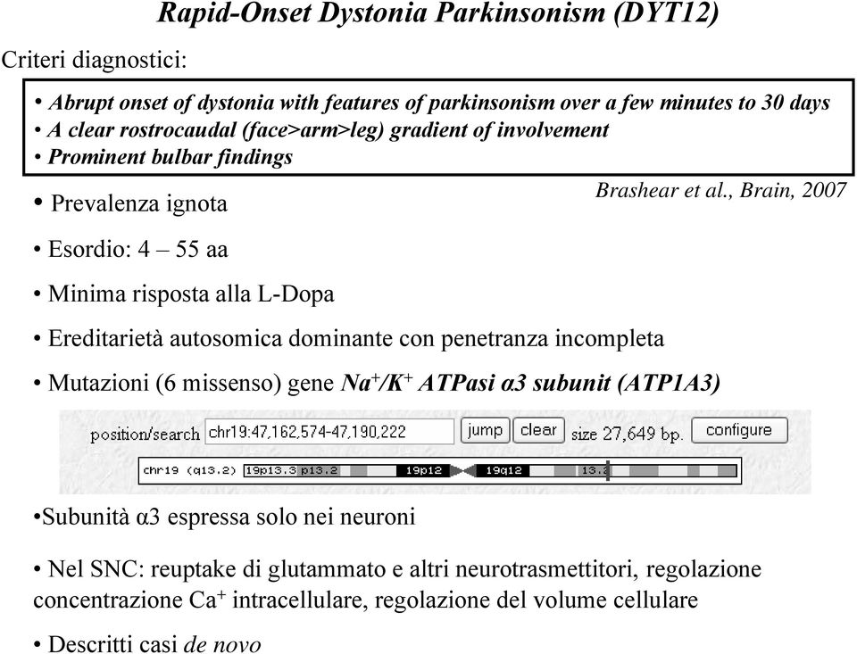, Brain, 2007 Prevalenza ignota Esordio: 4 55 aa Minima risposta alla L-Dopa Ereditarietà autosomica dominante con penetranza incompleta Mutazioni (6 missenso)