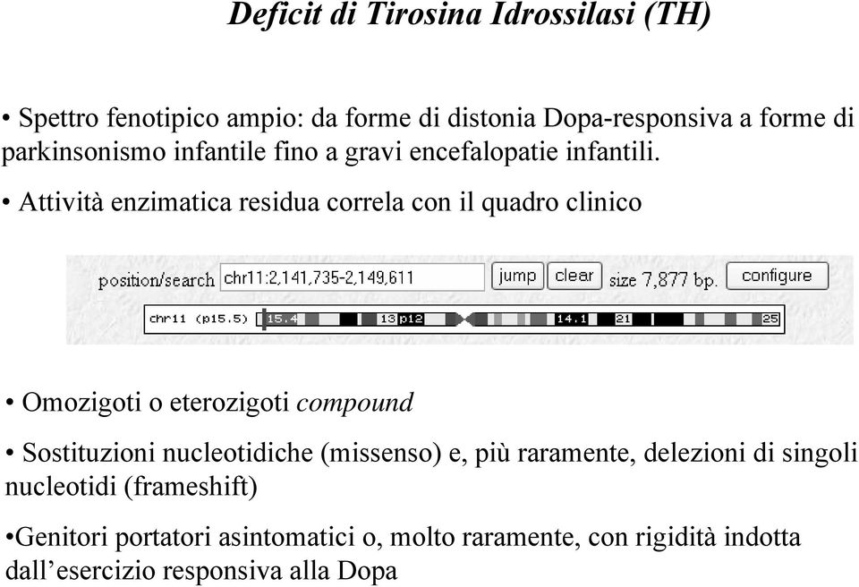 Attività enzimatica residua correla con il quadro clinico Omozigoti o eterozigoti compound Sostituzioni nucleotidiche