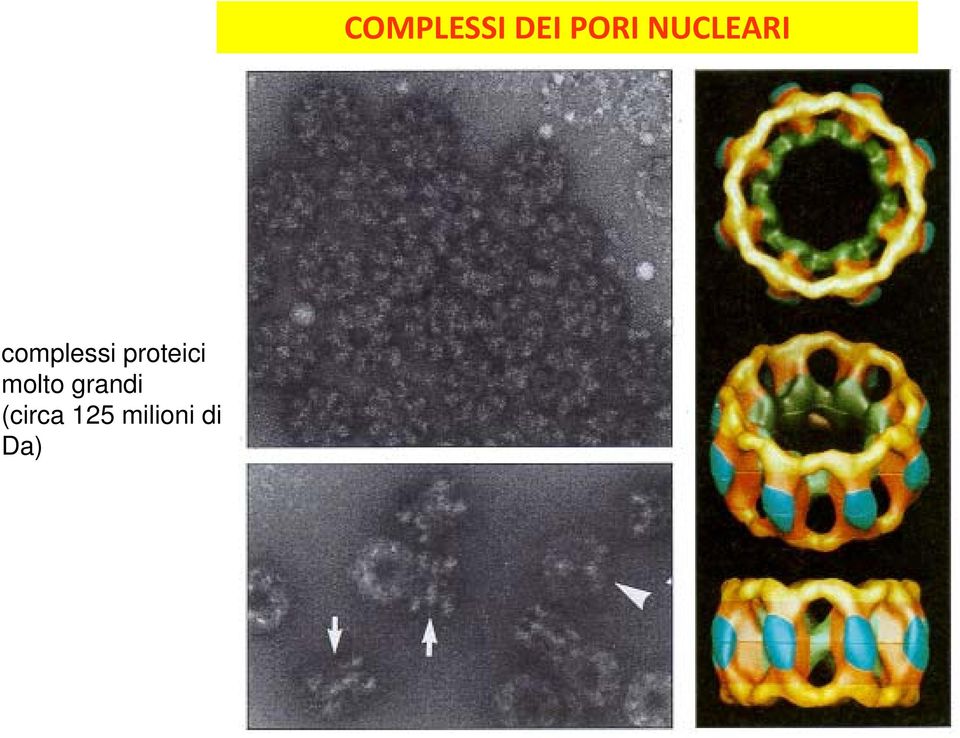 125 milioni di Da)