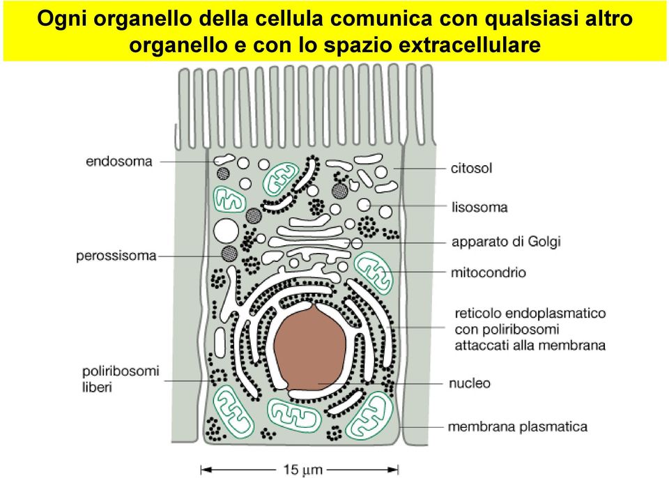 qualsiasi altro