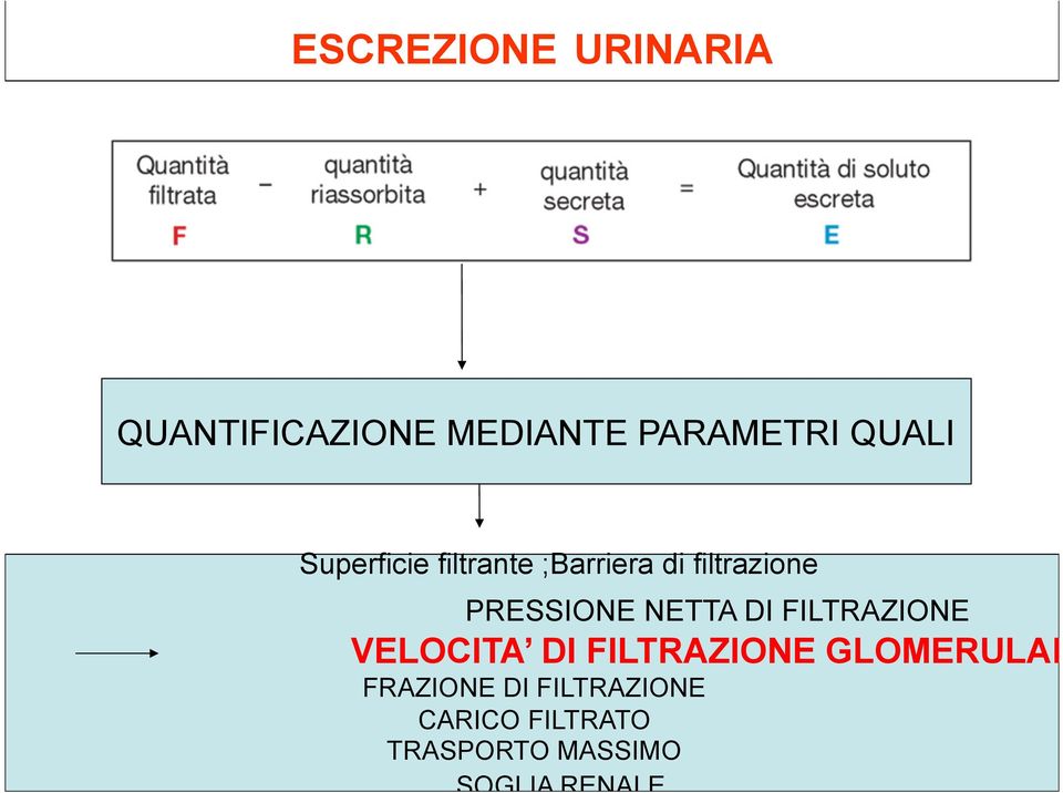 DI FILTRAZIONE VELOCITA DI FILTRAZIONE GLOMERULARE FRAZIONE