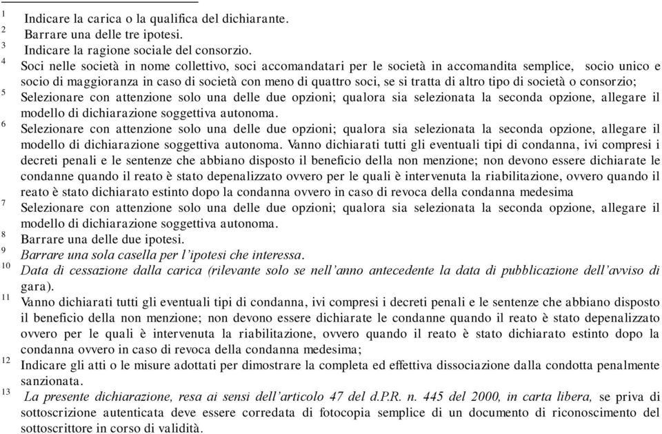 tipo di società o consorzio; modello di dichiarazione soggettiva autonoma.