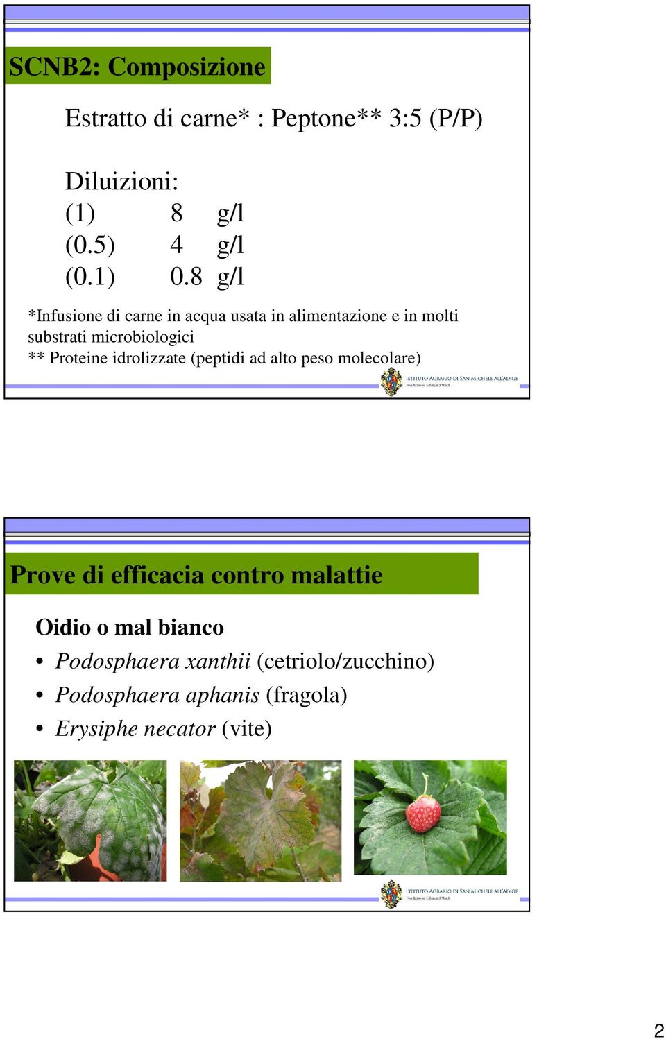 8 g/l *Infusione di crne in cqu ust in limentzione e in molti sustrti microiologici **