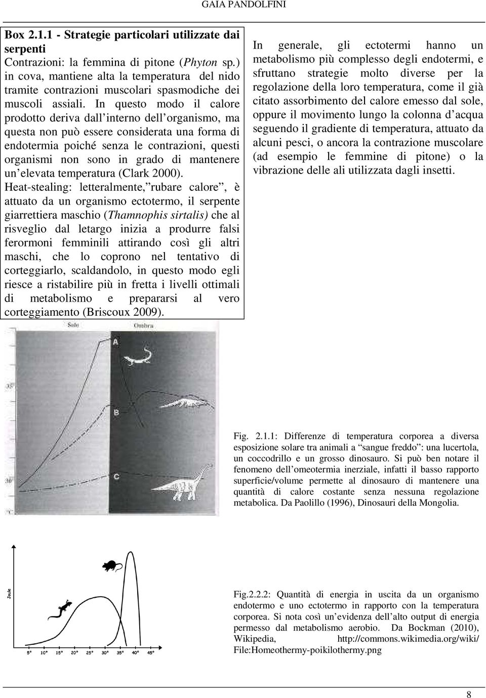 In questo modo il calore prodotto deriva dall interno dell organismo, ma questa non può essere considerata una forma di endotermia poiché senza le contrazioni, questi organismi non sono in grado di