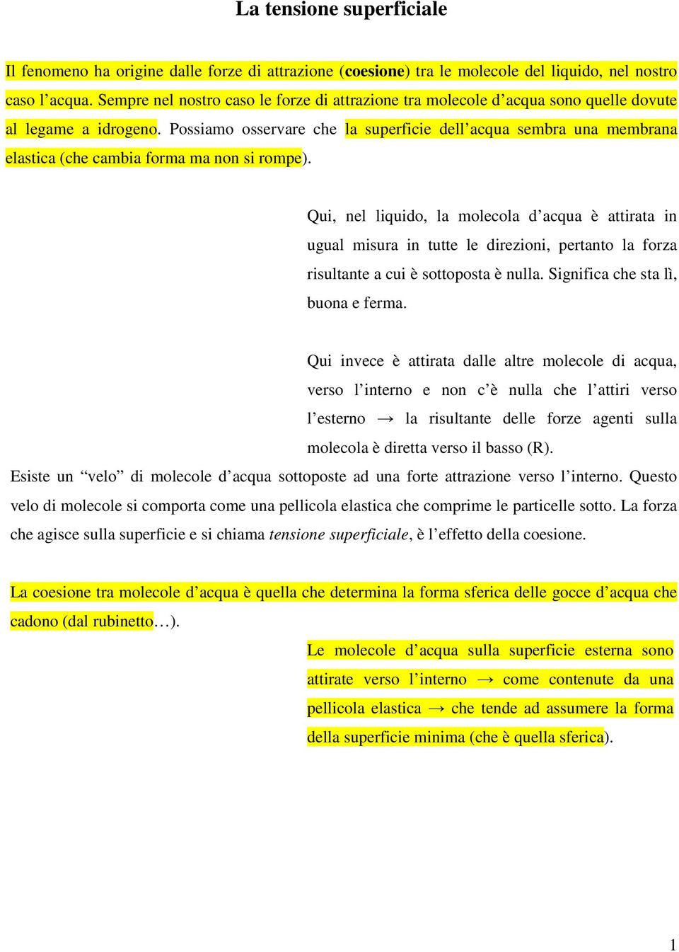 Possiamo osservare che la superficie dell acqua sembra una membrana elastica (che cambia forma ma non si rompe).