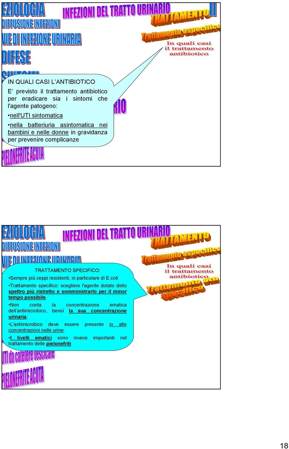 coli Trattamento specifico: scegliere l'agente dotato dello spettro più ristretto e somministrarlo per il minor tempo possibile.