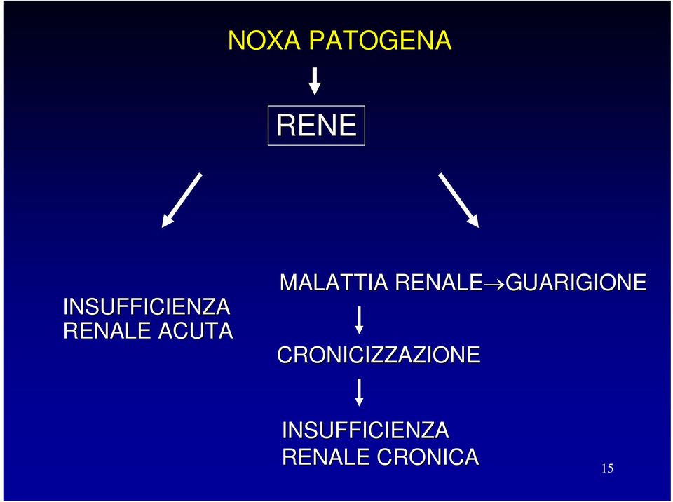 MALATTIA RENALE GUARIGIONE