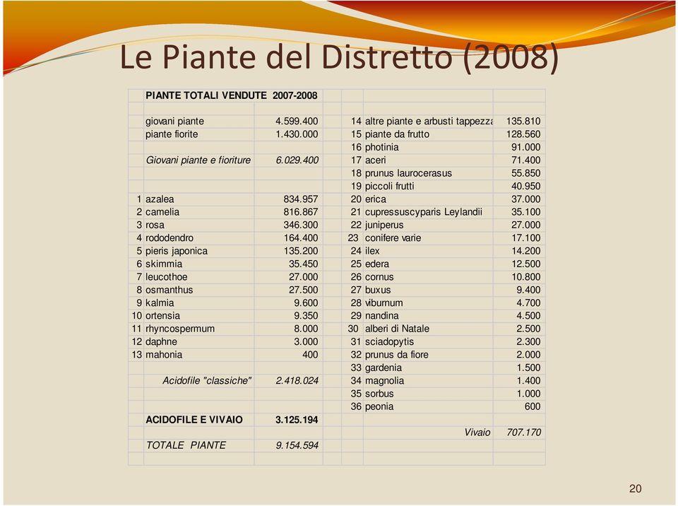 867 21 cupressuscyparis Leylandii 35.100 3 rosa 346.300 22 juniperus 27.000 4 rododendro 164.400 23 conifere varie 17.100 5 pieris japonica 135.200 24 ilex 14.200 6 skimmia 35.450 25 edera 12.