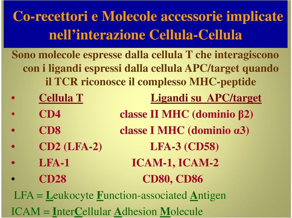 Cellula T Ligandi su APC/target CD4 classe II MHC (dominio β2) CD8 classe I MHC (dominio α3) CD2 (LFA-2) LFA-3 (CD58)