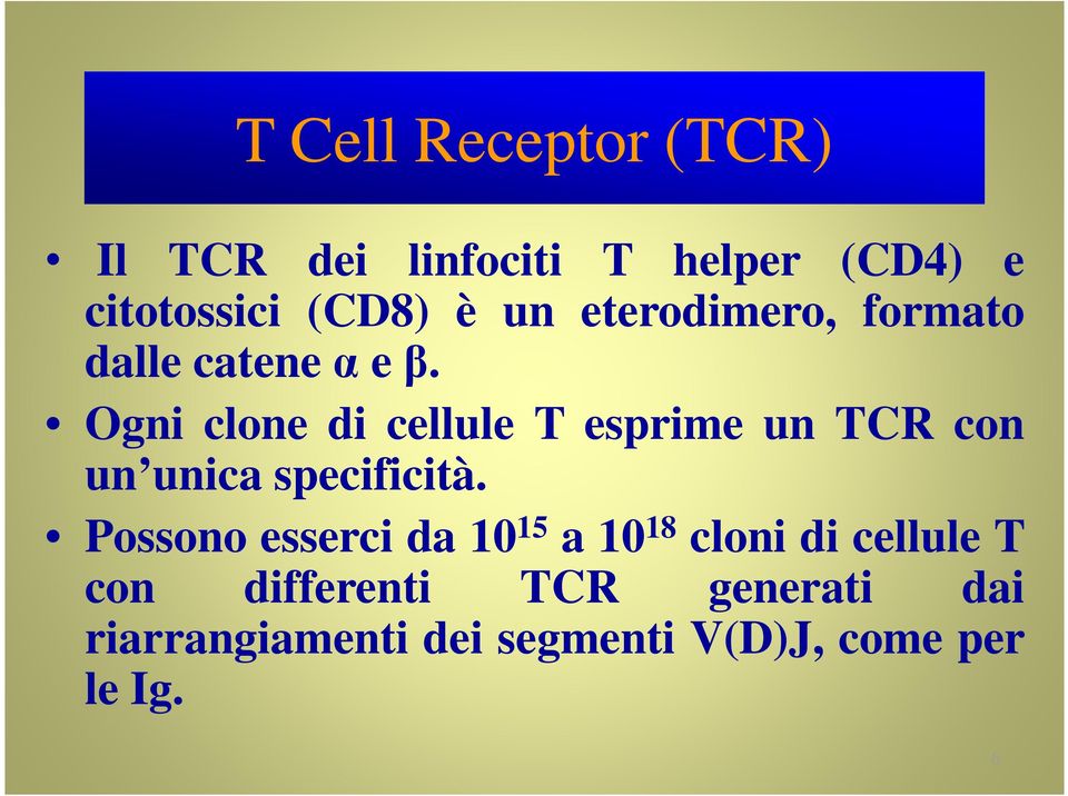 Ogni clone di cellule T esprime un TCR con un unica specificità.